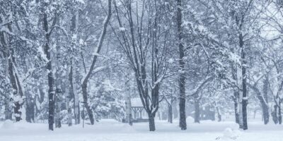 Due to weather conditions, the school is closed today (9 January).